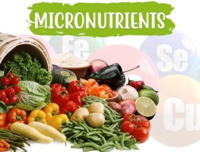 Micro Nutrients: Why are They so Important