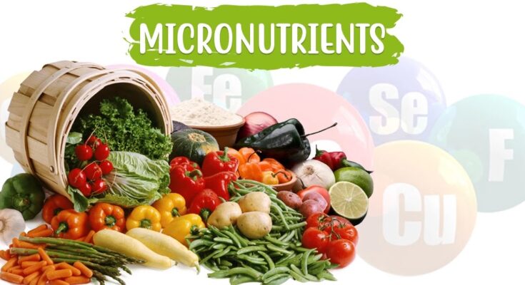 Micro Nutrients: Why are They so Important
