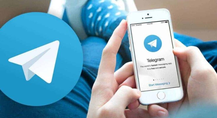 Best Bio for Telegram in 2022 - MogulValley.com
