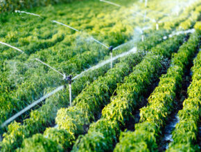 best drip irrigation company 