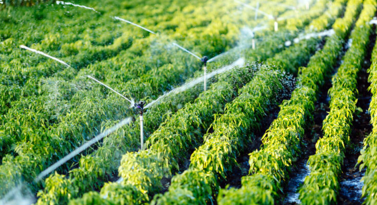 best drip irrigation company 