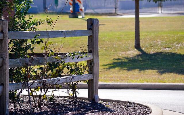 image of mulched plants