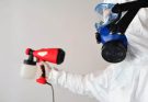 mold removal information
